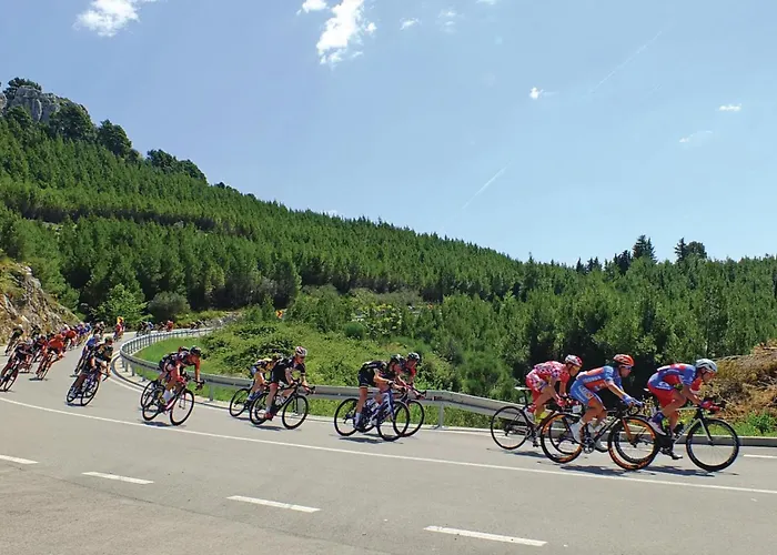 Apartment 1 Bedroom Lovely In *