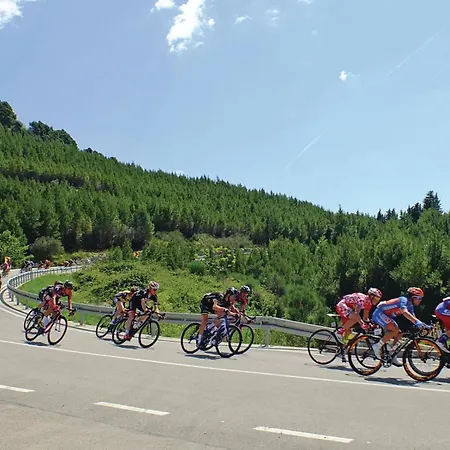 Apartament 1 Bedroom Lovely In *